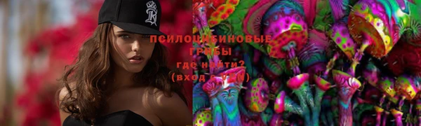 МДПВ Алексин