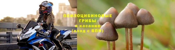 стафф Алексеевка