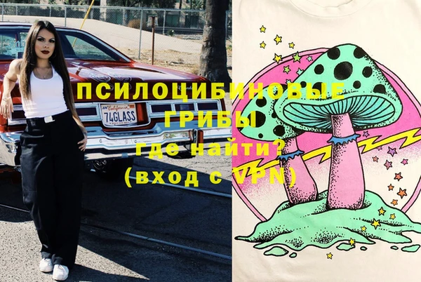 МДПВ Алексин