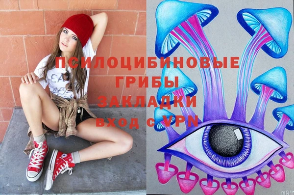 стафф Алексеевка
