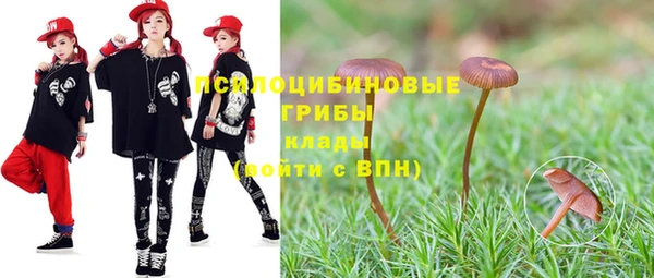 дживик Армянск